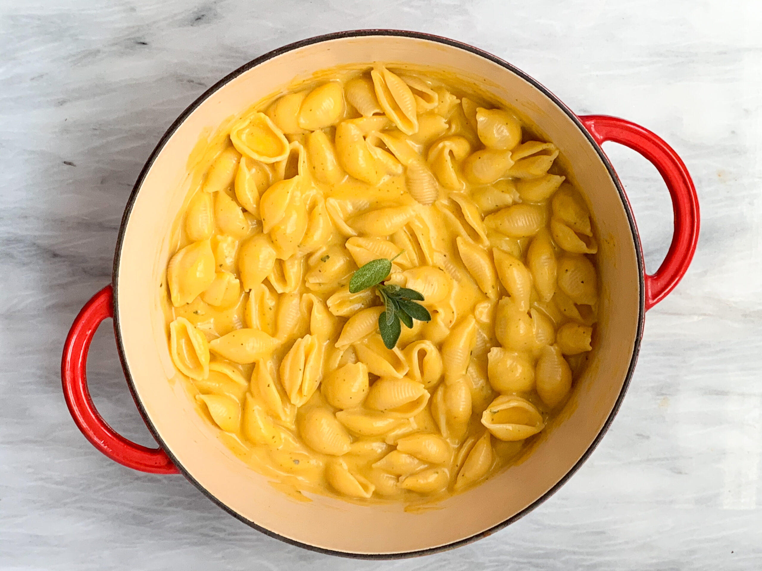 creamy plant-based butternut squash macaroni and cheese